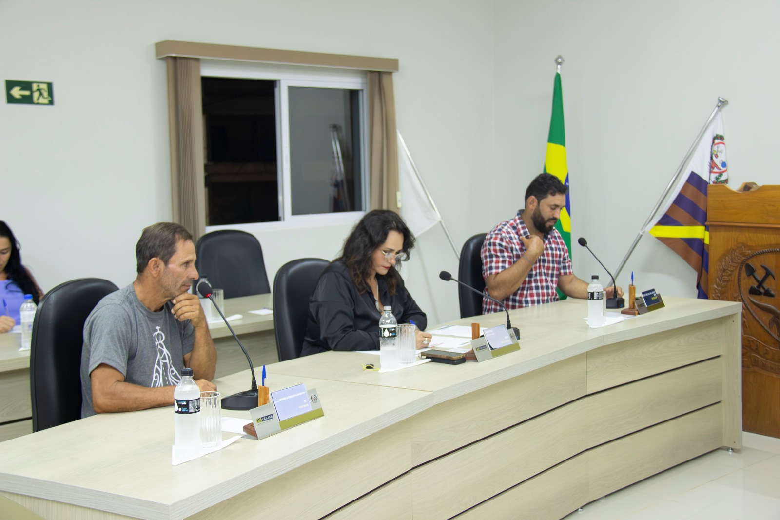 Vereadora Leandra discursando na tribuna